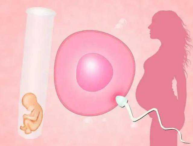 单身女想做供精试管婴儿,2023台州哪家借卵做试管婴儿的医院最好呢？