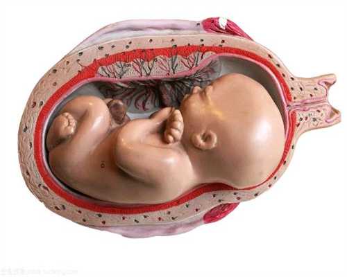 专业的代孕包性别哪里好_试管婴儿取卵代孕_女性排卵期-排卵期是怀孕＊＊时期