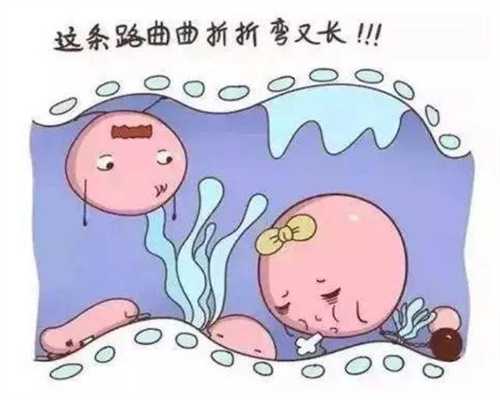 代孕可以顺产吗_代孕能做吗_北京第三代试管排名医院告诉你，检测卵泡的意义