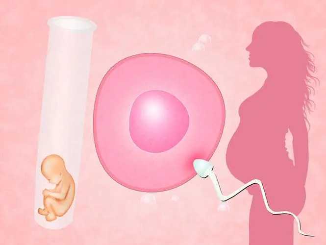 天津有可靠的助孕吗 天津试管成功率受哪些因素影响? ‘怀男宝宝早期有什么特