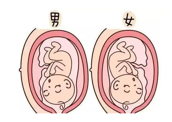 代孕靠谱嘛_哪里有代孕的女孩_试管婴儿怀上双胞胎能不能顺产？